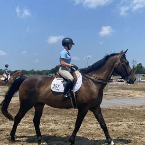 Meet your Posher, Abbey